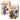 RIFTBOUND - STARTER DECKs SET - SPIRITFORGED